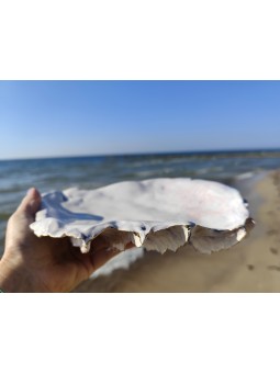 Serviravimo lėkštė " Austrė"